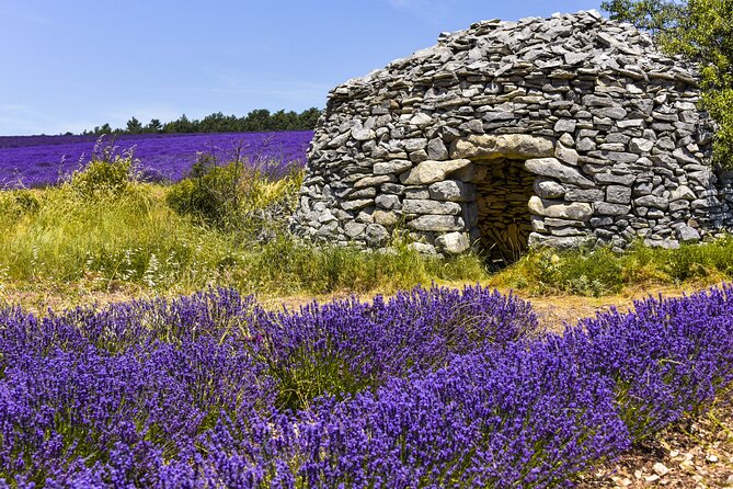 Provence Shared Half Day Lavender Tour from Aix en Provence - Photo stops among lavender and sunflowers