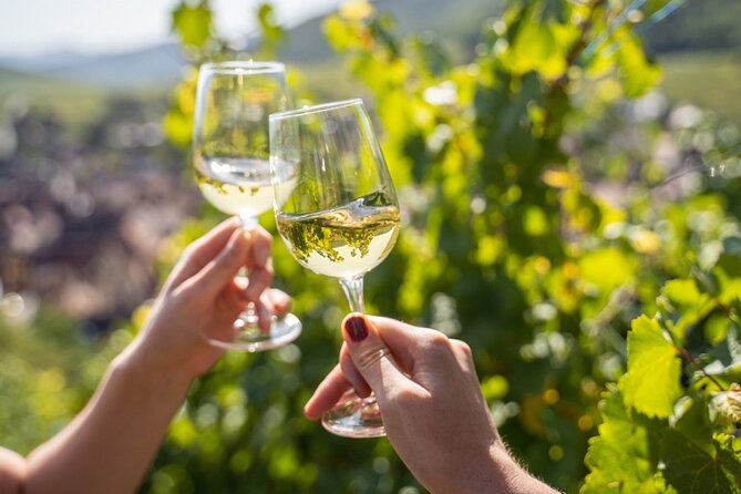 Provence, Vineyards and Lavender Fields Private Day Trip - Three hours to explore Aix-en-Provence