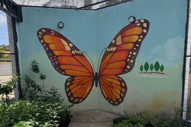 Puerto Plata City Tour with Butterfly Garden - Umbrella Street starts the photo portion