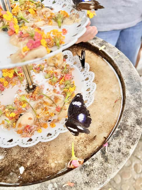 Puerto Princesa: Half Day City Tour with Butterfly Garden - Key details at a glance