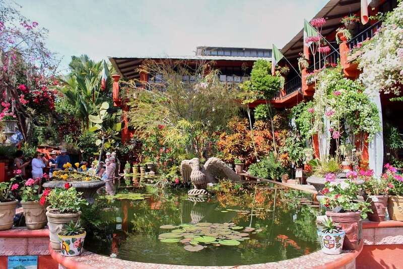 Puerto Vallarta: Botanical Gardens, Distillery & Coffee Tour - Why this six-hour outing works