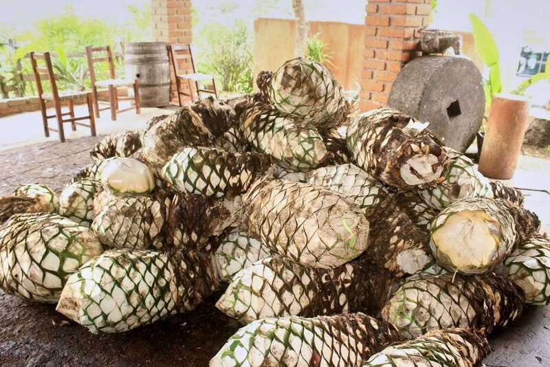 Puerto Vallarta: Botanical Gardens, Distillery & Coffee Tour - The organic coffee factory: worthwhile, but possibly short