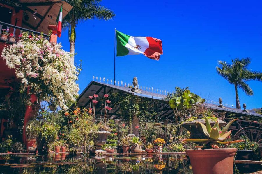 Puerto Vallarta: Botanical Gardens, Distillery & Coffee Tour - Who should book this experience