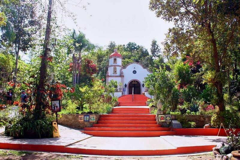 Puerto Vallarta: Botanical Gardens, Distillery & Coffee Tour - The botanical gardens: orchids, forest, and uneven paths