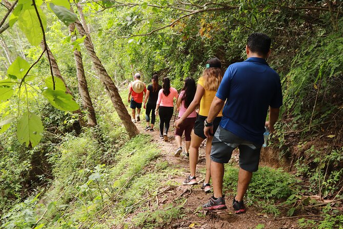 Puerto Vallarta Botanical Gardens Hiking Tour - Cool off at Los Veranos Adventure Park
