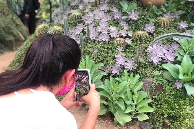 Puerto Vallarta Botanical Gardens Hiking Tour - Make time for lunch and tequila