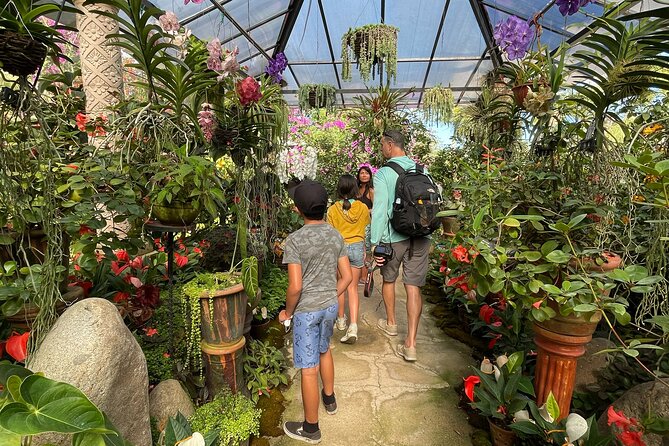 Puerto Vallarta Botanical Gardens Hiking Tour - What the $102 price really covers