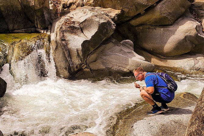 Puerto Vallarta Botanical Gardens Hiking Tour - Meeting point, transport, and timing