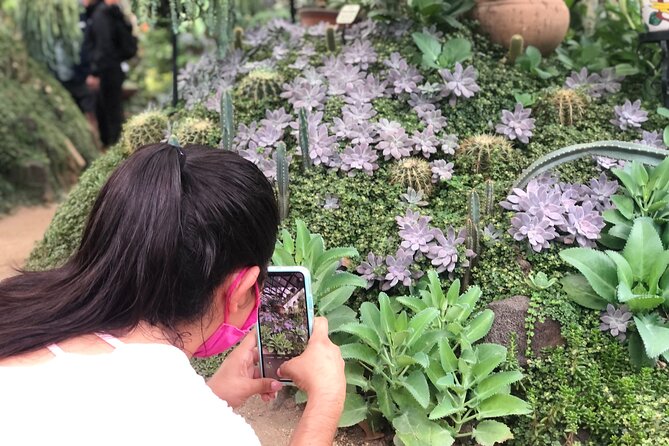 Puerto Vallarta Botanical Gardens Hiking Tour - Know the difference between a garden walk and a real hike