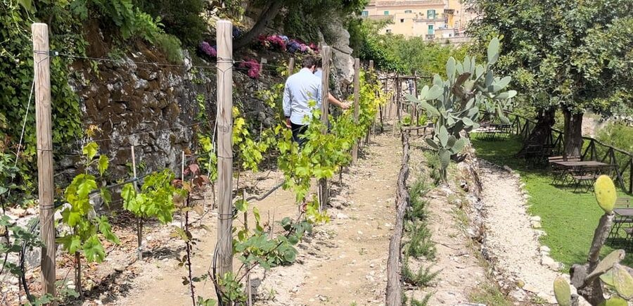 Radici: IImmerse yourself in the heady scents of our garden - Key points to know before you book