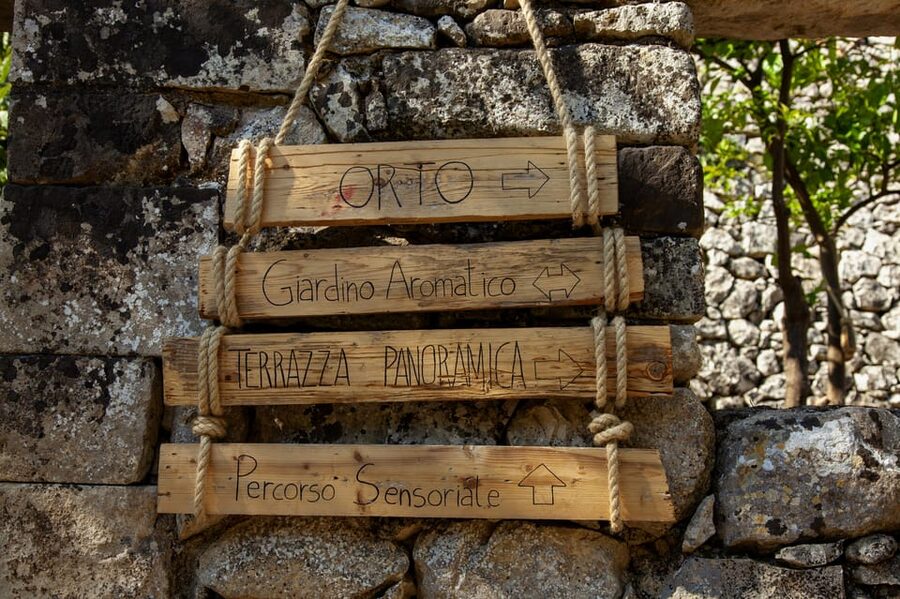 Radici: IImmerse yourself in the heady scents of our garden - Who should book this garden experience?