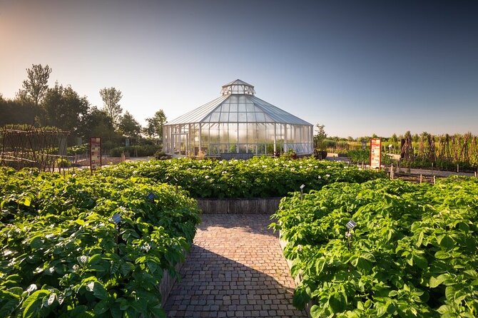 RHS Garden Hyde Hall - Exploring the Global Vegetable Garden