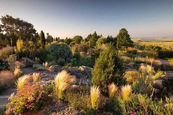 RHS Garden Hyde Hall - How the Dry Conditions Shape the Garden