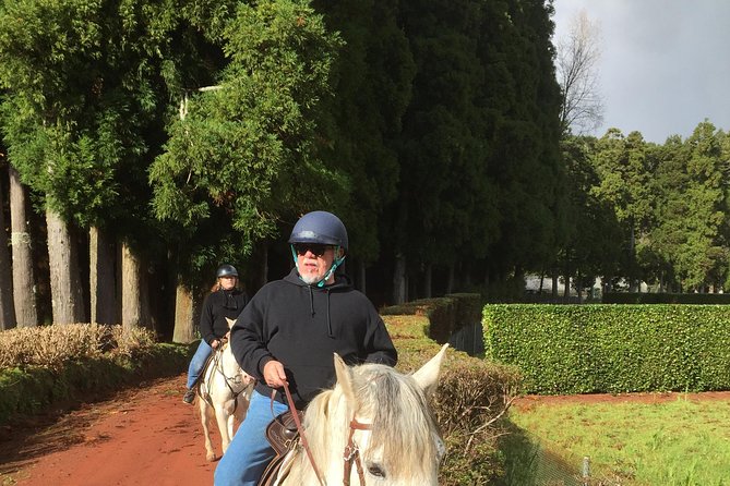 ride a volcano - go to the gardens in the woods - Key points at a glance