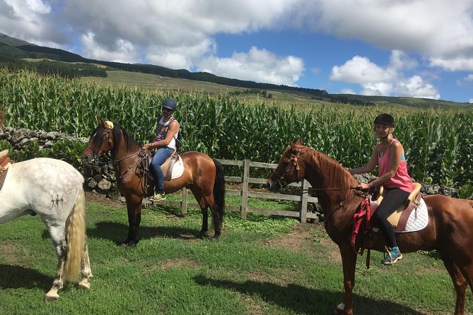 ride a volcano - go to the gardens in the woods - Starting at Basalto Clube de Campo