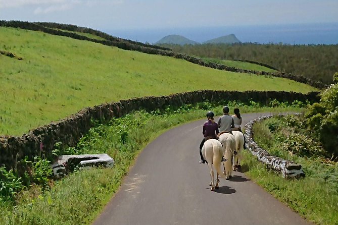 ride a volcano - go to the gardens in the woods - Who should book this experience?