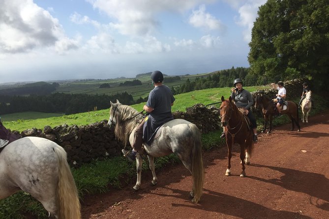 ride a volcano - go to the gardens in the woods - The uphill ride to 467 meters