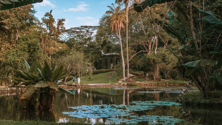 Rio de Janeiro: 4-Hour Botanical Garden & Tijuca Forest Tour - Key details before you book