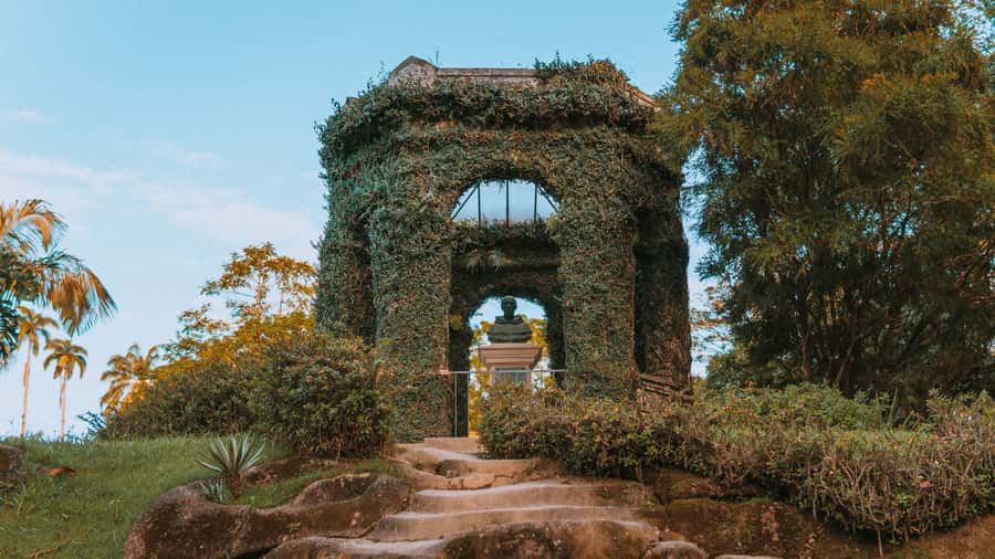 Rio de Janeiro: 4-Hour Botanical Garden & Tijuca Forest Tour - Orchidarium, Bromeliad House, and garden conditions