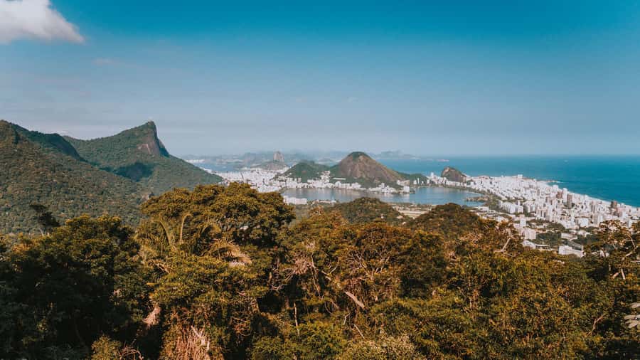 Rio de Janeiro: 4-Hour Botanical Garden & Tijuca Forest Tour - Vista Chinesa and Rio’s best wide-angle view