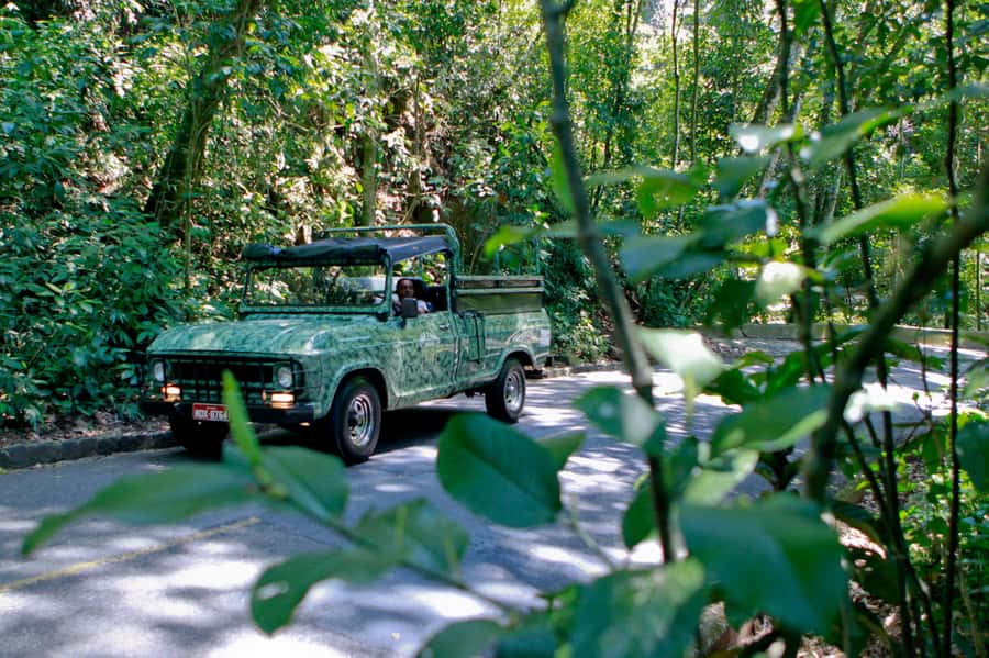 Rio de Janeiro: Botanical Garden & Tijuca Forest Guided Tour - Key points to know before you book