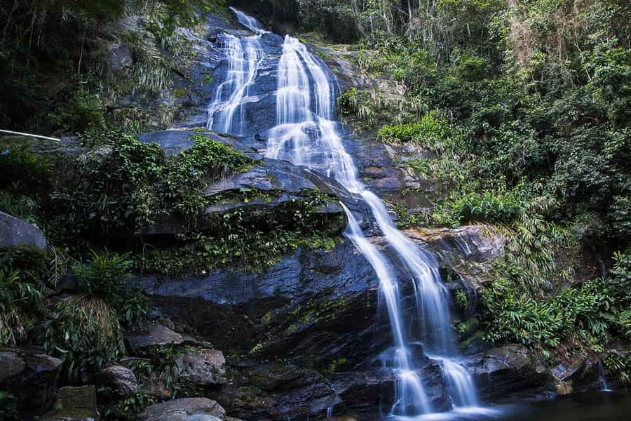Rio de Janeiro: Botanical Garden & Tijuca Forest Guided Tour - Why this Rio nature tour is worth your morning