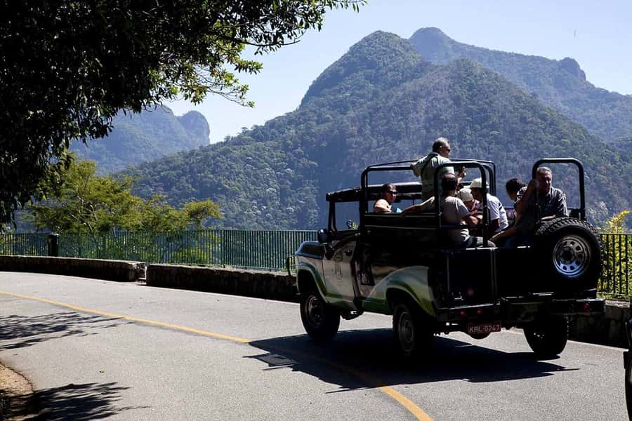 Rio de Janeiro: Botanical Garden & Tijuca Forest Guided Tour - Riding through Tijuca Forest by open-air jeep