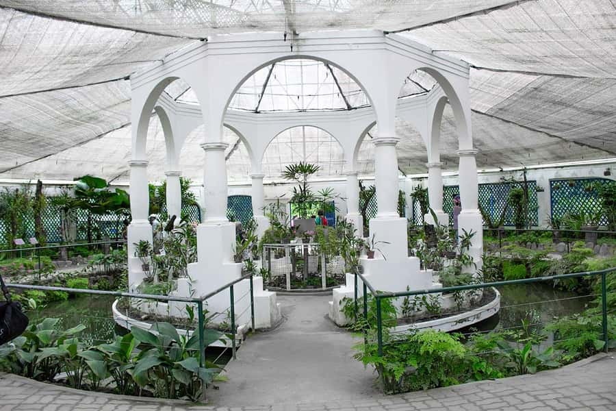 Rio de Janeiro: Botanical Garden & Tijuca Forest Guided Tour - Waterfalls and short walks in the forest