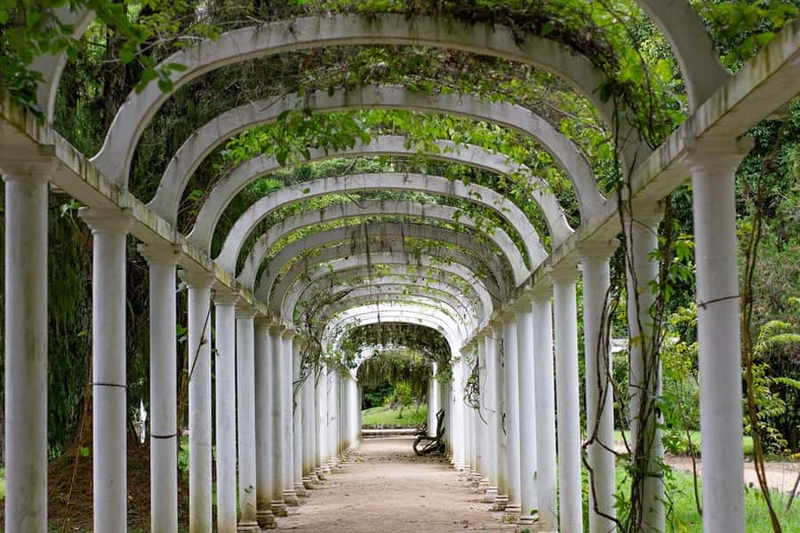 Rio de Janeiro: Botanical Garden & Tijuca Forest Guided Tour - What the guide adds to the experience