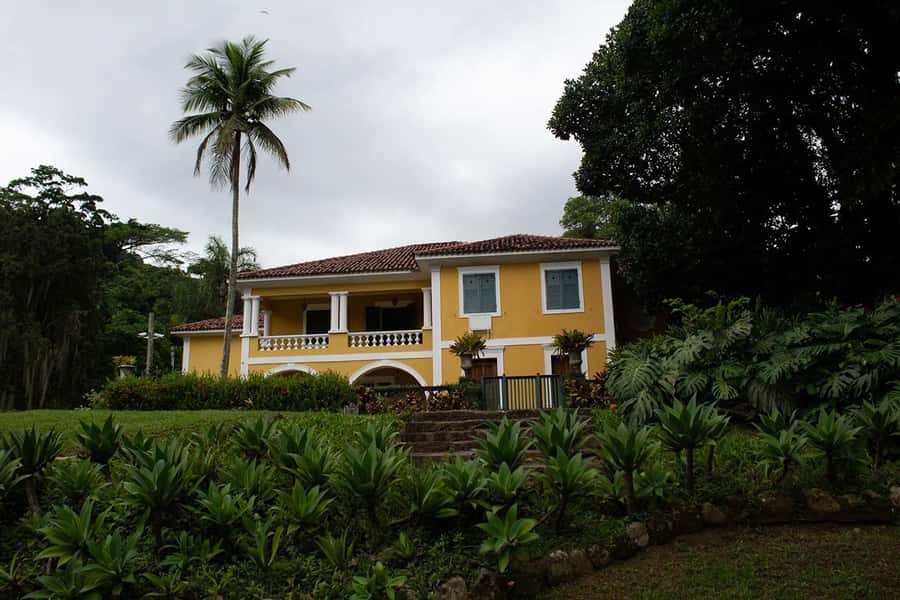 Rio de Janeiro: Botanical Garden & Tijuca Forest Guided Tour - Who should book this tour?
