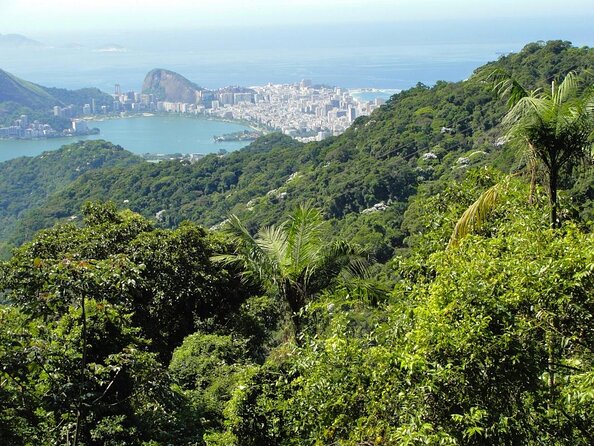 Rio de Janeiro Botanical Garden & Tijuca Forest Tour - Key points to know