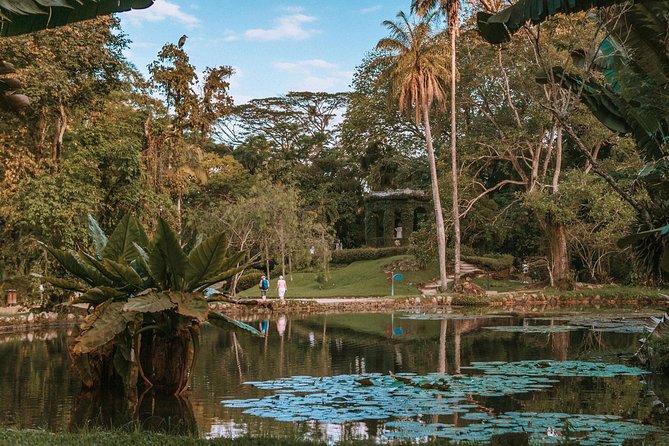 Rio de Janeiro Botanical Garden & Tijuca Forest Tour - Two sides of Rio in one four-hour outing
