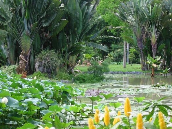 Rio de Janeiro Botanical Garden Tour - Why Rio’s Botanical Garden deserves half a day