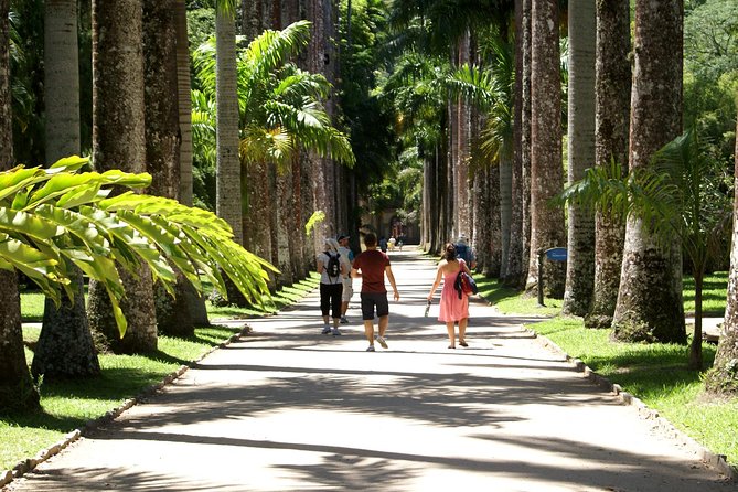 Rio de Janeiro Botanical Garden Tour - Free time after the guided walk