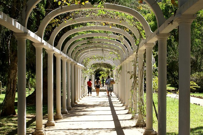 Rio de Janeiro Botanical Garden Tour - From your hotel to the foot of Corcovado