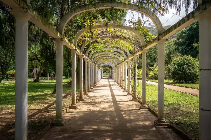 Rio de Janeiro: Tijuca National Park & Botanic Garden Tour - Key points to know before booking