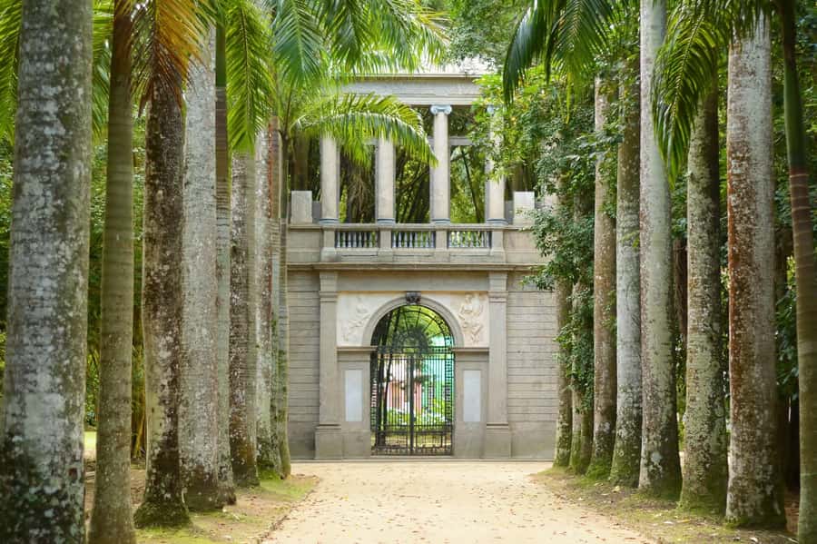 Rio de Janeiro: Tijuca National Park & Botanic Garden Tour - Entering Tijuca National Park