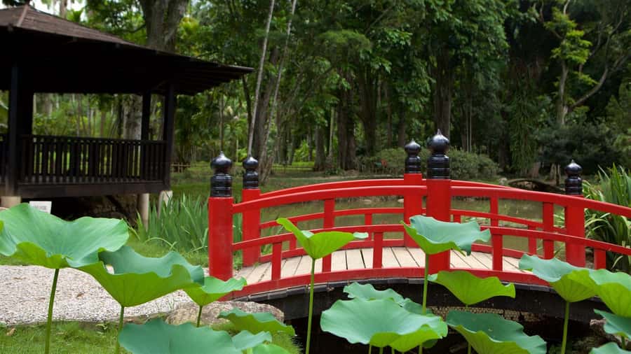 Rio de Janeiro: Tijuca National Park & Botanic Garden Tour - Taunay Waterfall and Mayrink Chapel