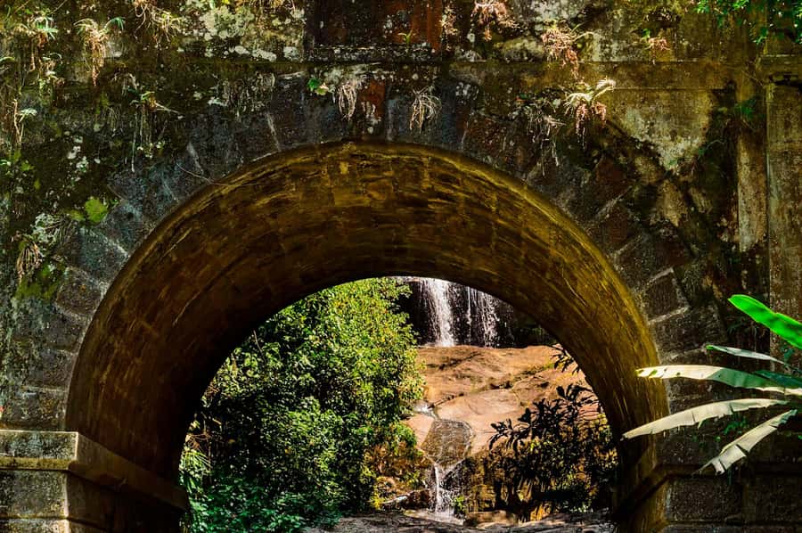 Rio de Janeiro: Tijuca National Park & Botanic Garden Tour - Guide quality and the pace of the visit