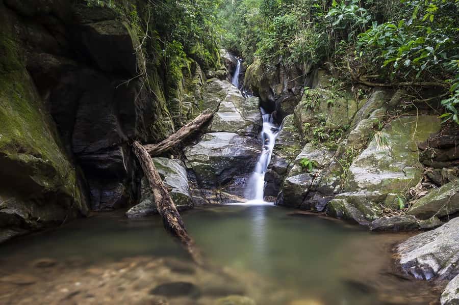 Rio de Janeiro: Tijuca National Park & Botanic Garden Tour - Hotel pickup keeps the morning simple