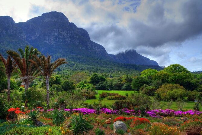Robben Island ,Kirstenbosch Gardens and Groot Constantia. - Who should book this day?