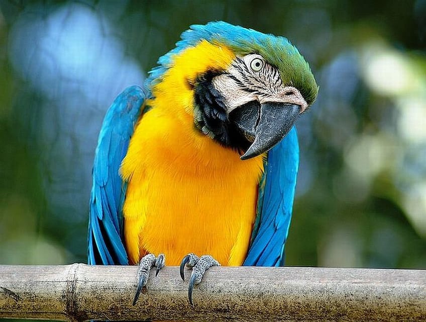 Rome: Bioparco di Roma Zoological Garden Entry Ticket - What you will see along the route