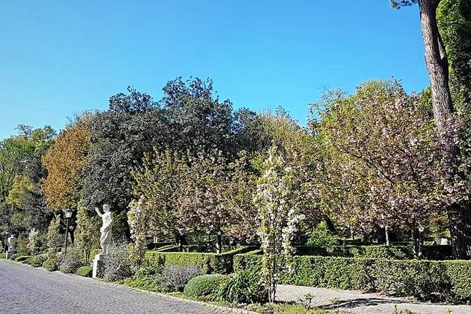 Rome: Vatican Museums and Gardens Private Tour - Pick up included - St. Peter’s Square and Bernini’s grand design