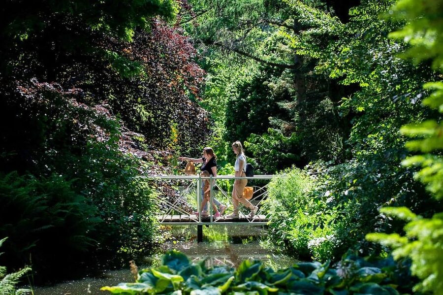 Rotterdam: Trompenburg Botanical Gardens Entry Ticket - Key points to know before you go