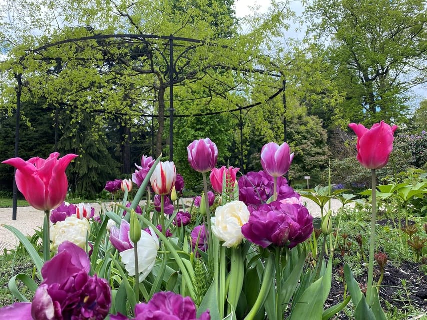 Rotterdam: Trompenburg Botanical Gardens Entry Ticket - Planning your visit without overcomplicating it