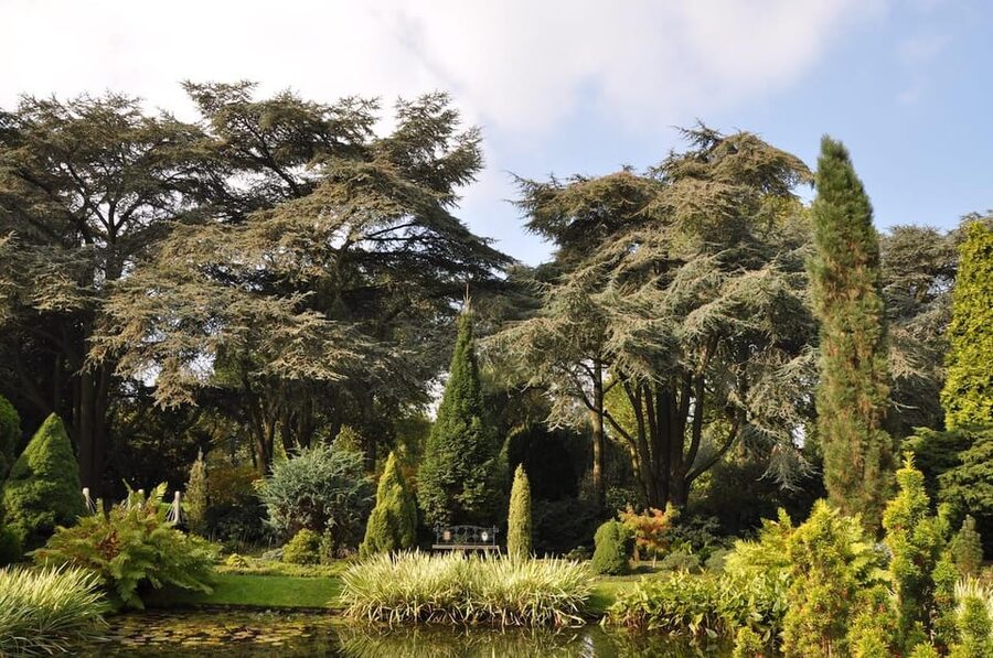 Rotterdam: Trompenburg Botanical Gardens Entry Ticket - Sunday walks, workshops, and lectures