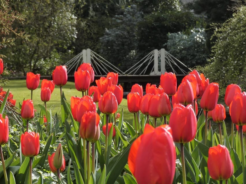 Rotterdam: Trompenburg Botanical Gardens Entry Ticket - Is the $15 ticket good value?