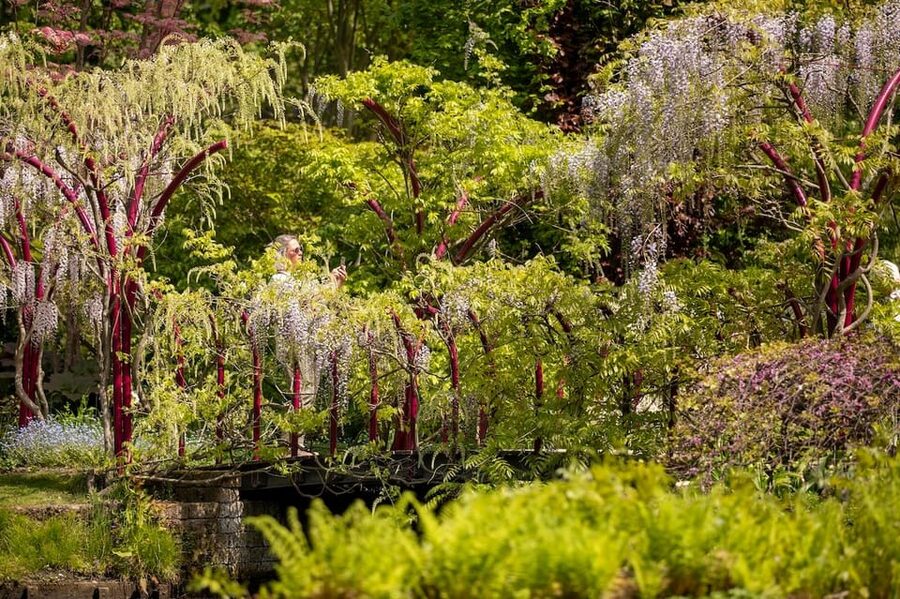 Rotterdam: Trompenburg Botanical Gardens Entry Ticket - Who will enjoy Trompenburg most?