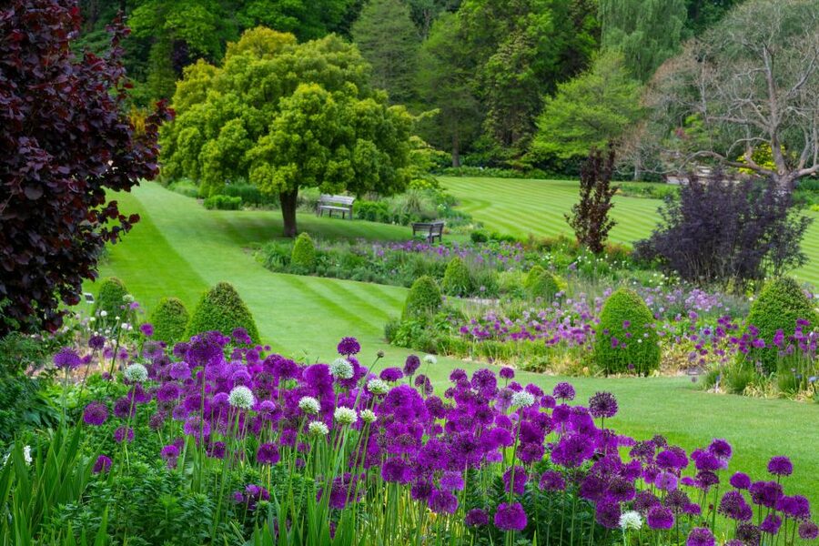 Royal Horticultural Society: Harlow Carr Garden Ticket - A Yorkshire garden with room to wander