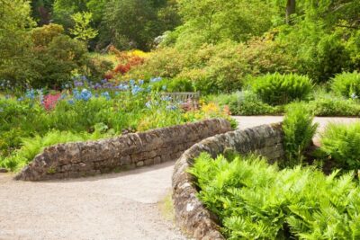 Royal Horticultural Society: Harlow Carr Garden Ticket